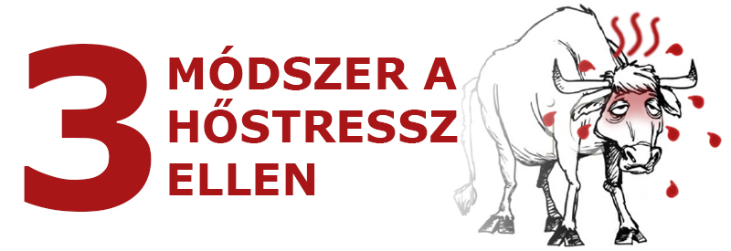 3 módszer a hőstressz ellen